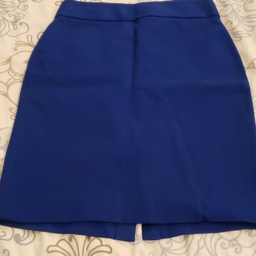 Work skirt (reduced)